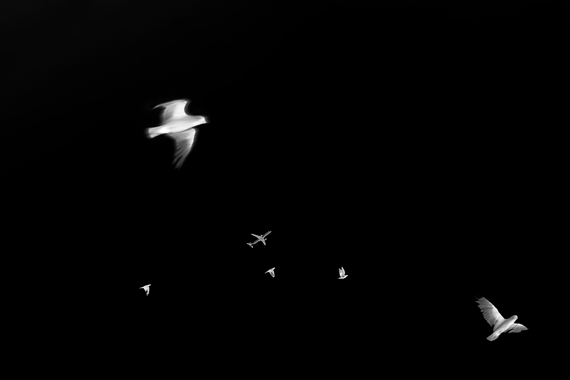SMehrfar_TMBTE_05