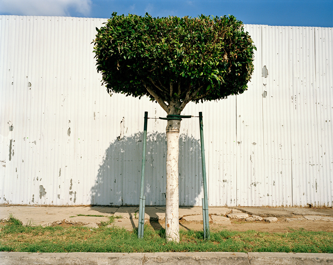 SMehrfar_TWWTW_Los-Angeles_CA